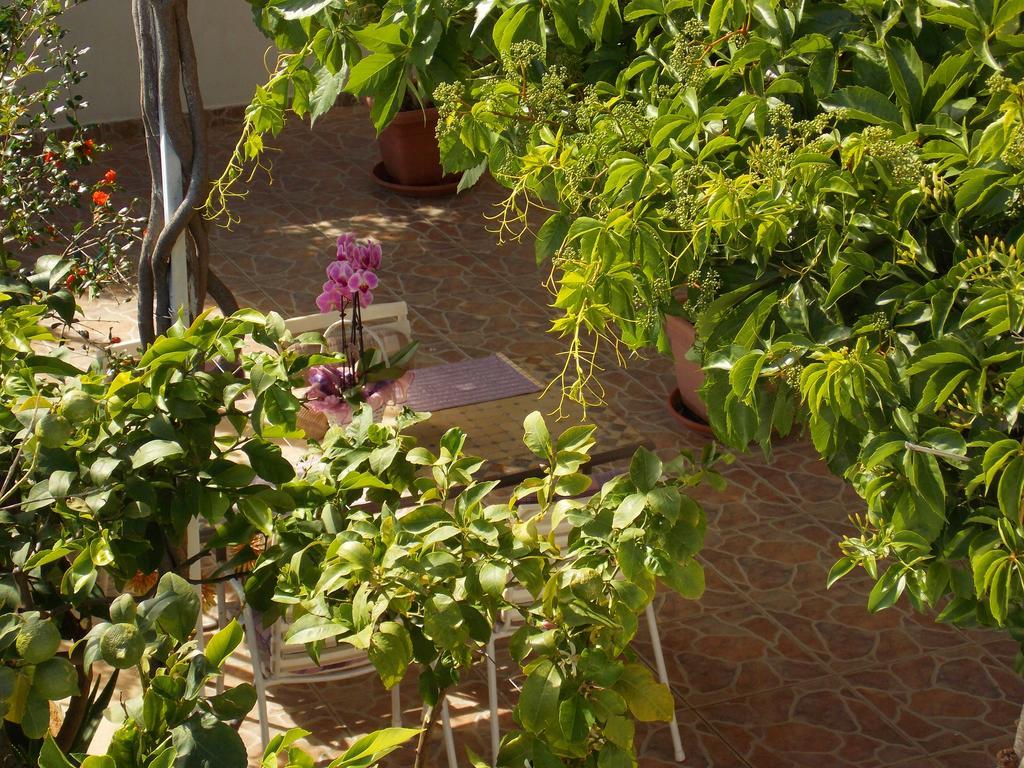 Apartmani Niki Hvar Hvar Town Exterior foto